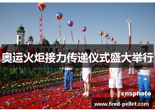 奥运火炬接力传递仪式盛大举行