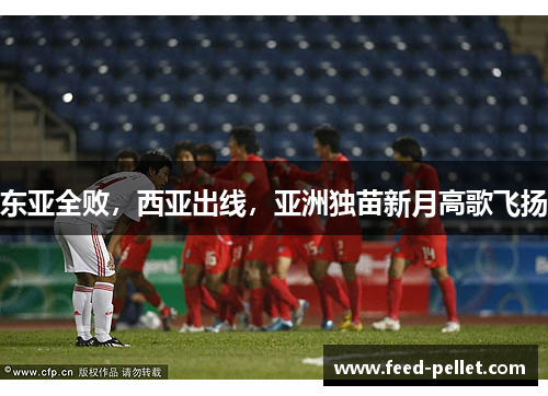 东亚全败，西亚出线，亚洲独苗新月高歌飞扬